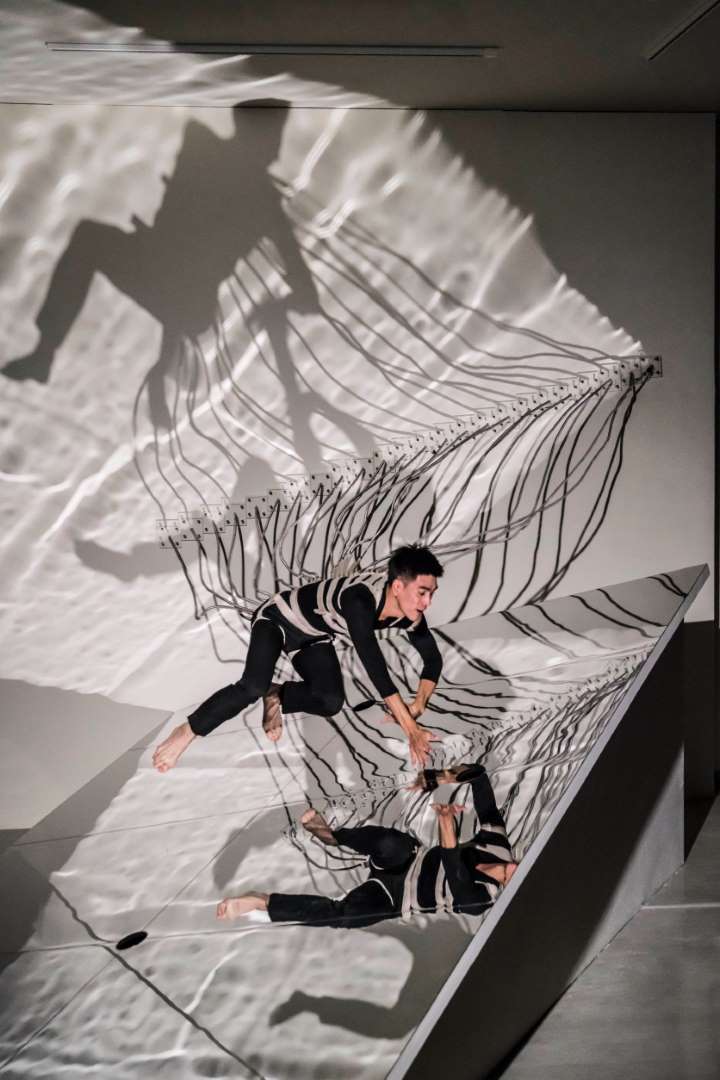 禽獸不如—2020台灣美術雙年展