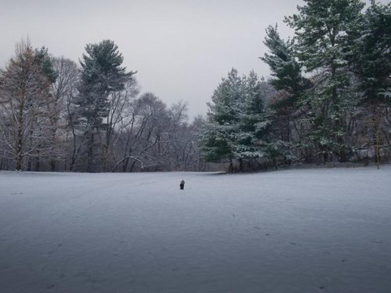 曹良賓 首本攝影集《中途》
