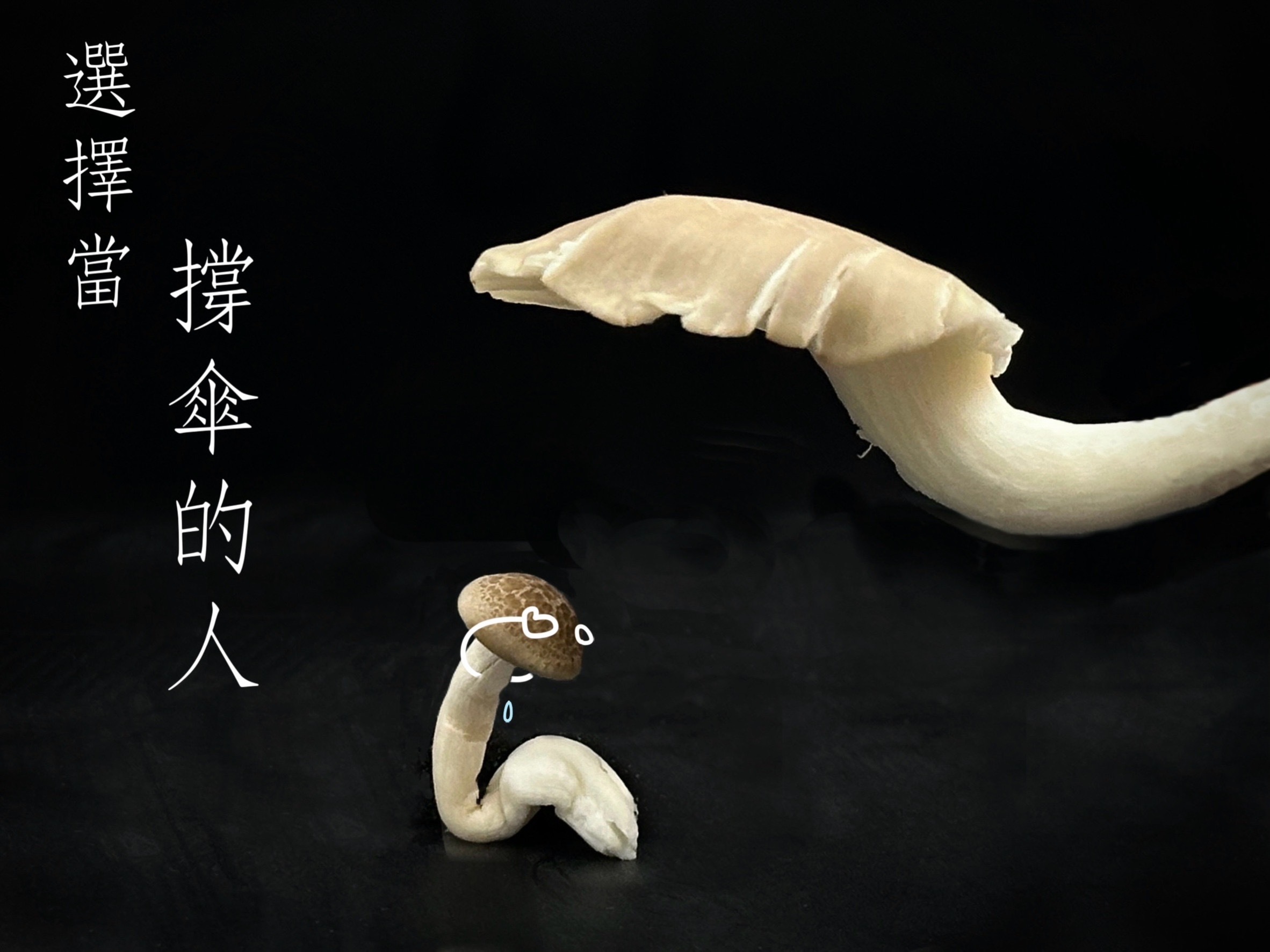 賀！！112學年度第一學期，南應大校園霸凌防制滑鼠墊設計競賽，美術系蕭培賢老師在攝影設計課程，指導多位同學參賽獲得前三名與佳作~